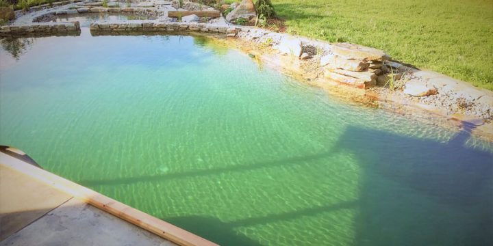 Wasser: Schwimmzone im Biopool